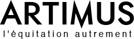 Artimus Consulting